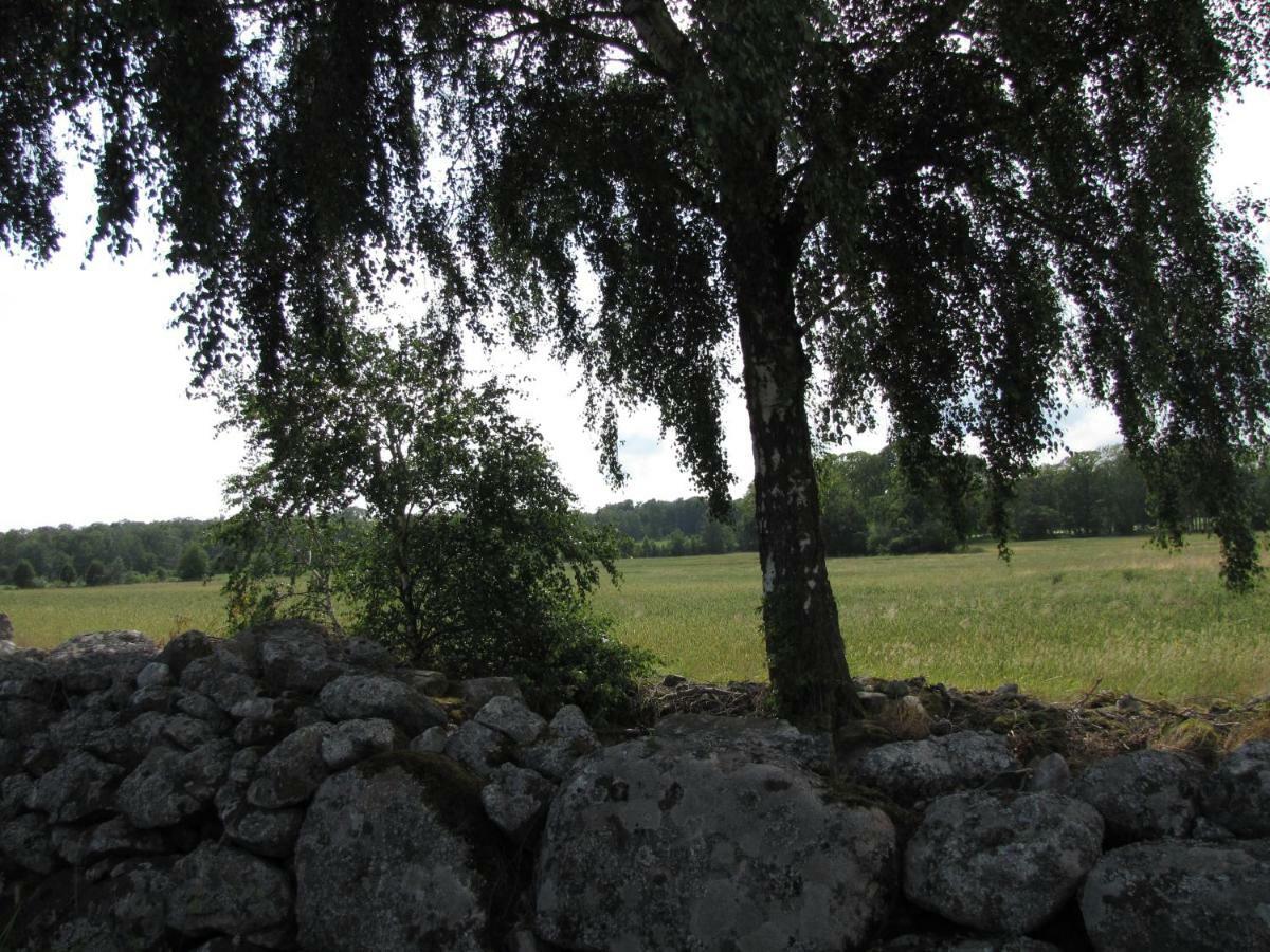 Stalemara Gard Krickan Fågelmara Dış mekan fotoğraf